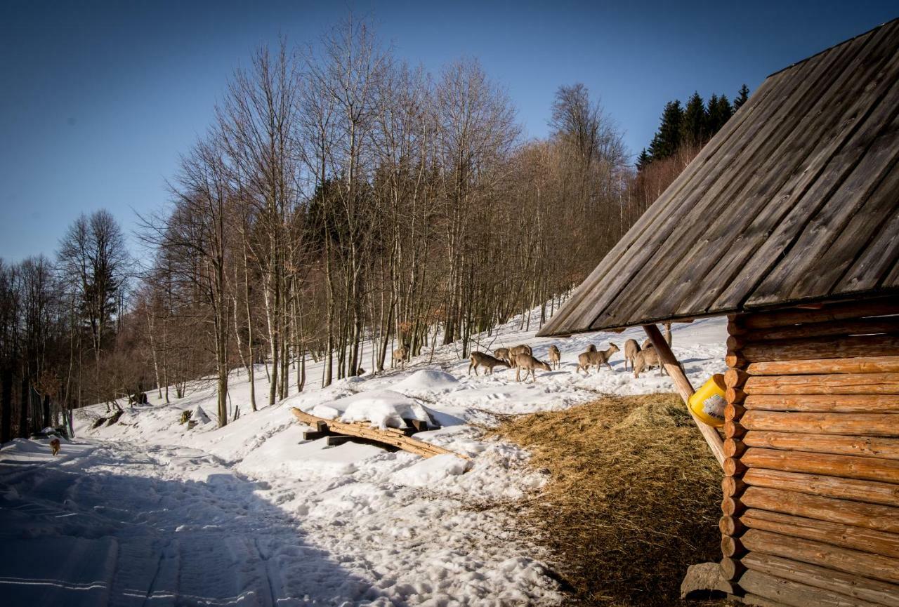 Privatunterkunft Romanowka Raszow